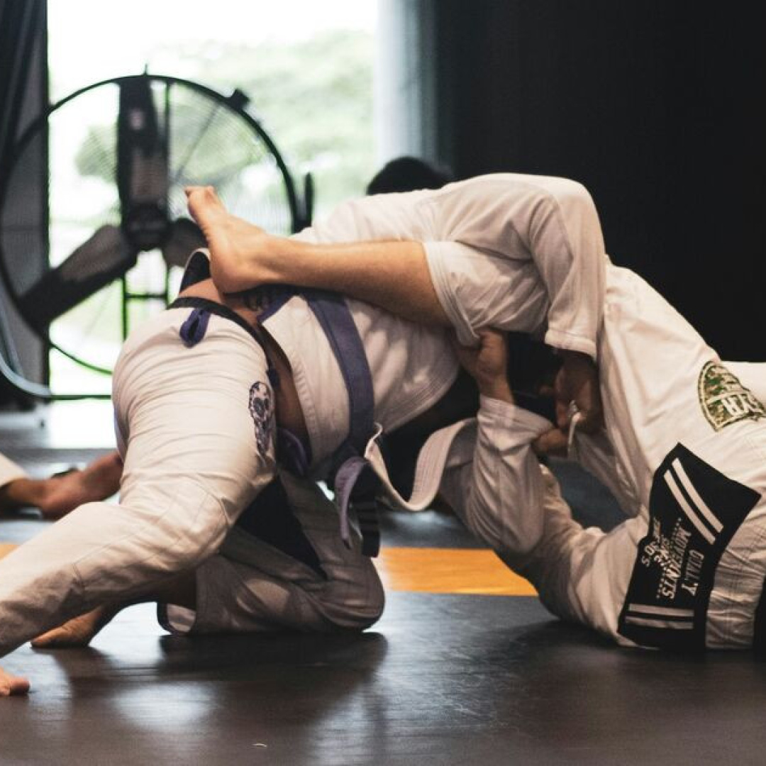 Assessing Mindbody's Value for Martial Arts Schools