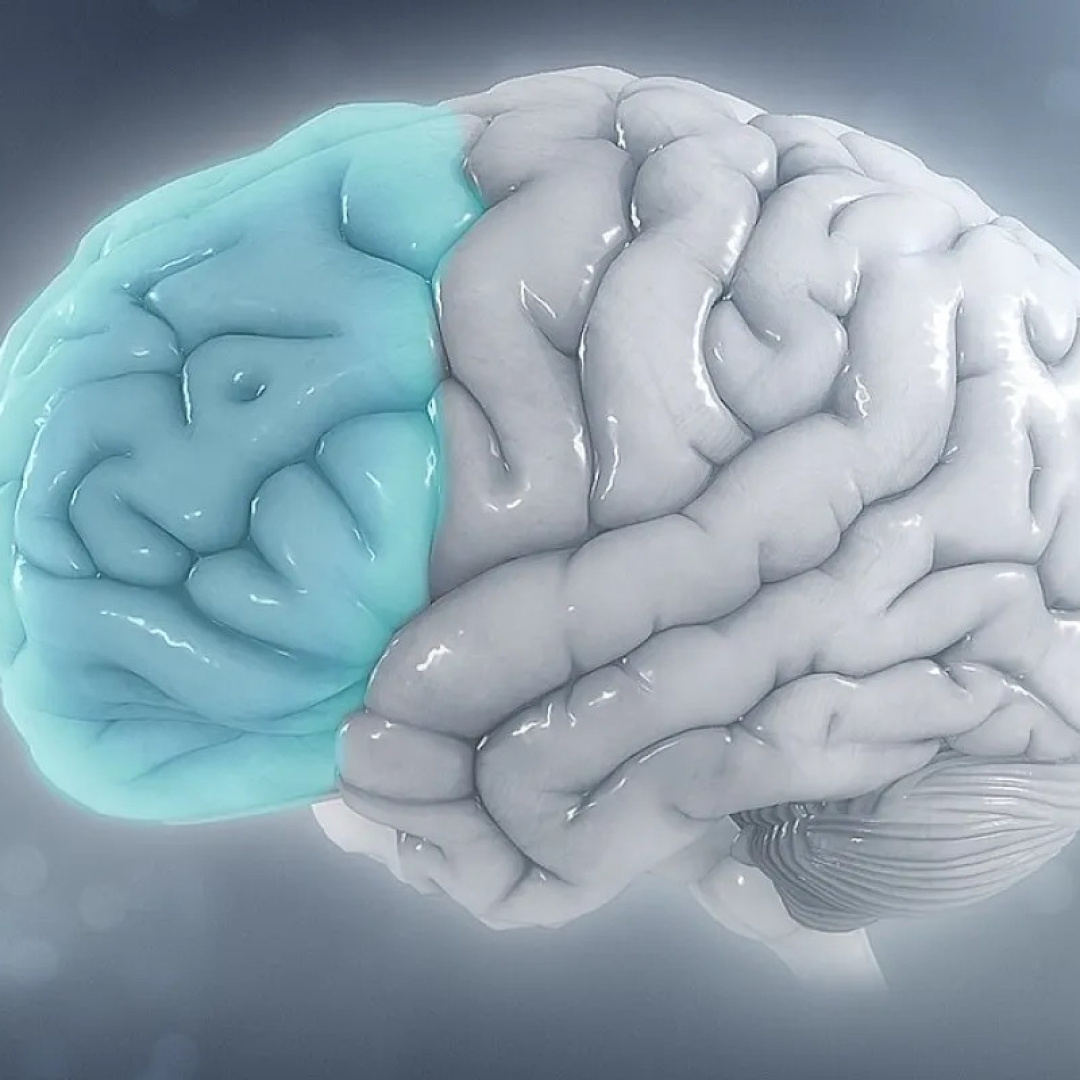 Exploring the Cognitive and Social Benefits of Martial Arts for Seniors